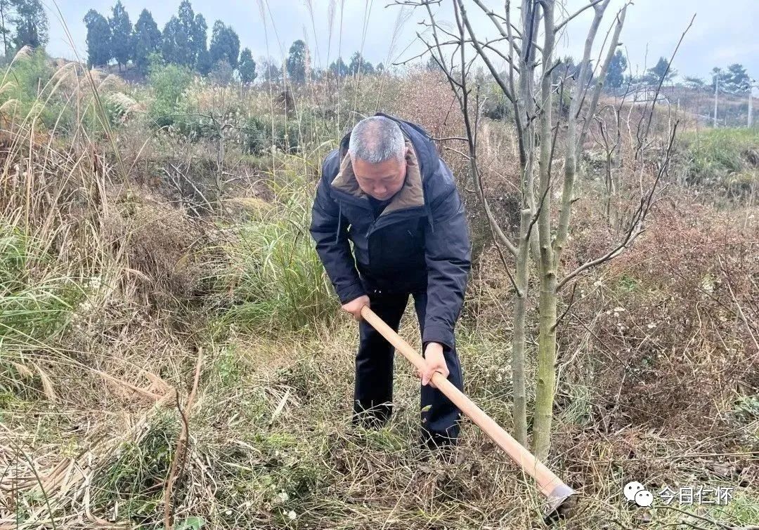 梨园民兵抓小偷图片