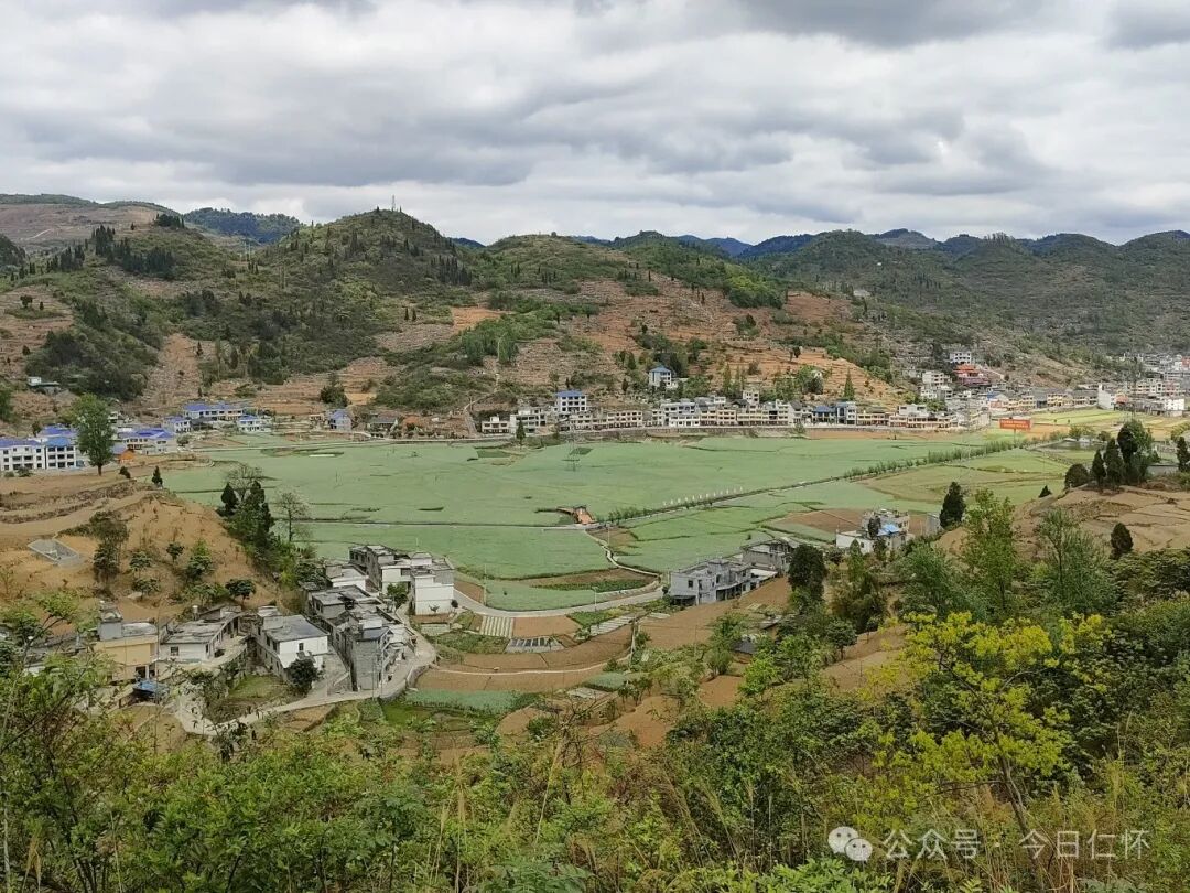 您当前所在的位置:>首页>新闻中心>部门动态一大早,走进茅坝镇官院村