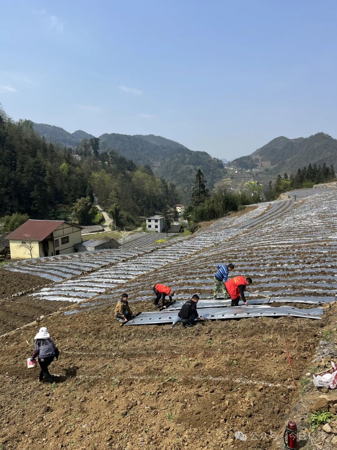 不负好春光蔬菜播种忙