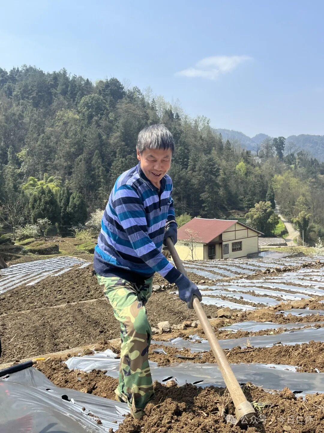 田兴村村民朱正海家以前的土地都是种植传统农作物,今年在村委会的