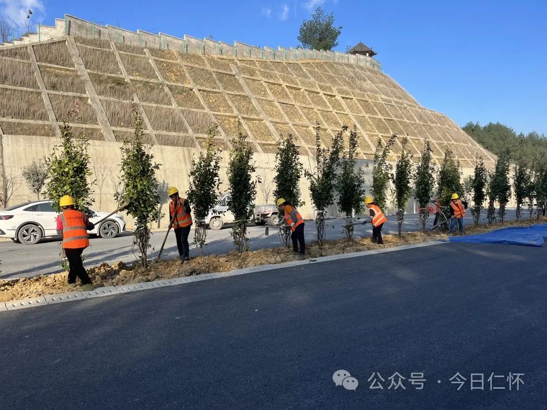 衝刺金仁桐高速公路項目建設新進展