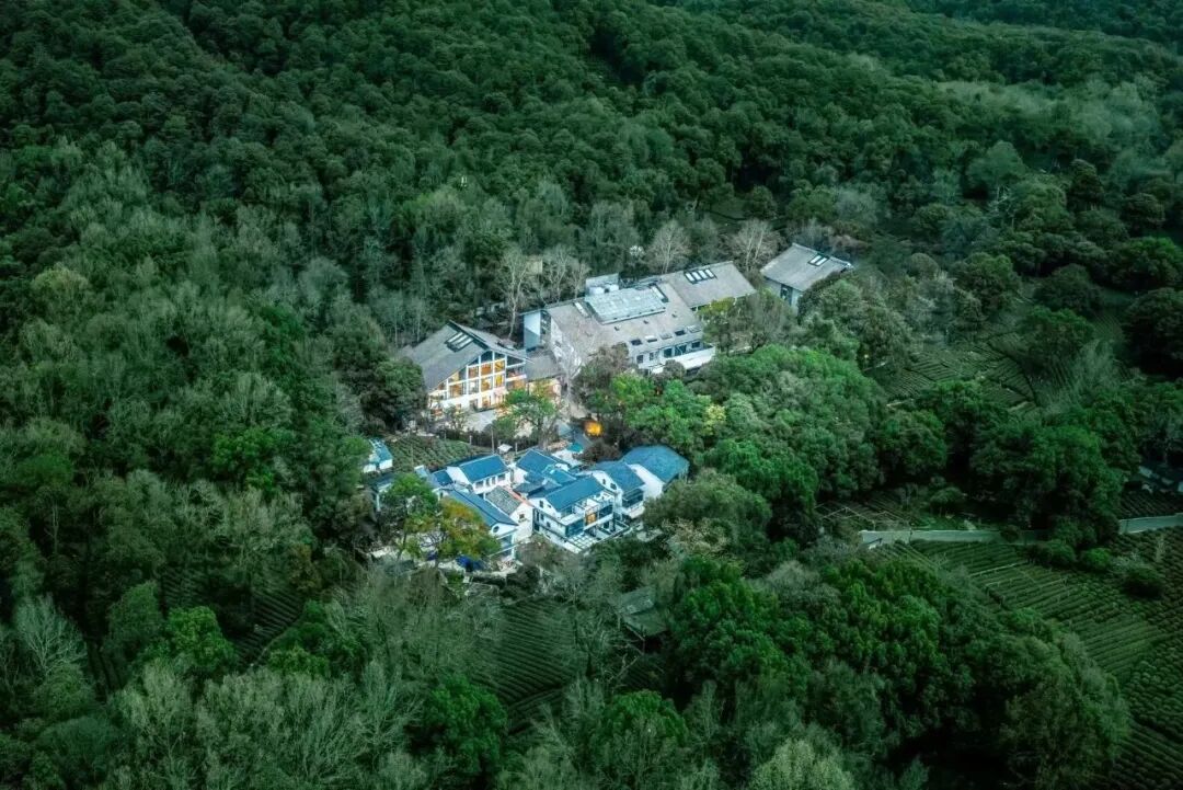 多城全程不加价酒店套餐 800+住丽思卡尔顿 低至666元