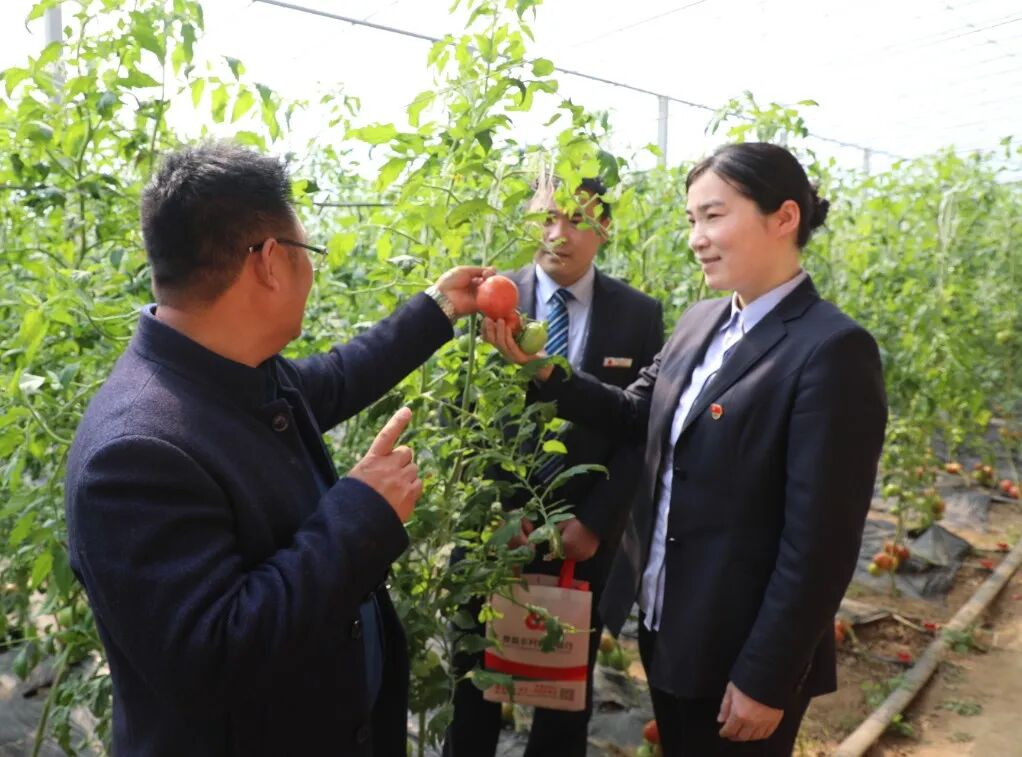 三八红旗手和巾帼标兵_巾帼标兵_三八巾帼标兵事迹材料