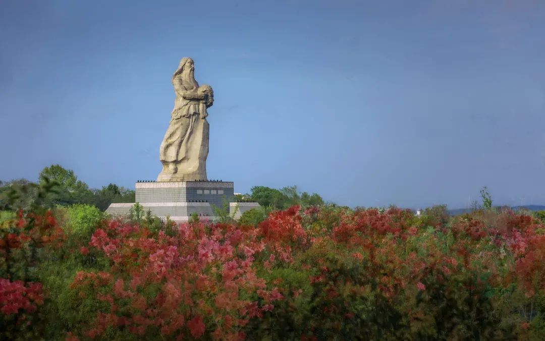 接下来的随州,还有什么看的?随州春季赏花,神农牡丹谷,炎帝故里,映山红,玫瑰主题公园
