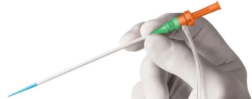 导管鞘怎么念导管鞘的介绍_https://www.jmylbn.com_新闻资讯_第1张