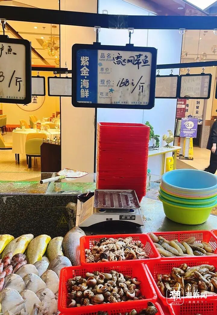 一斤168元，我被带鱼背刺了？这鱼究竟什么来头