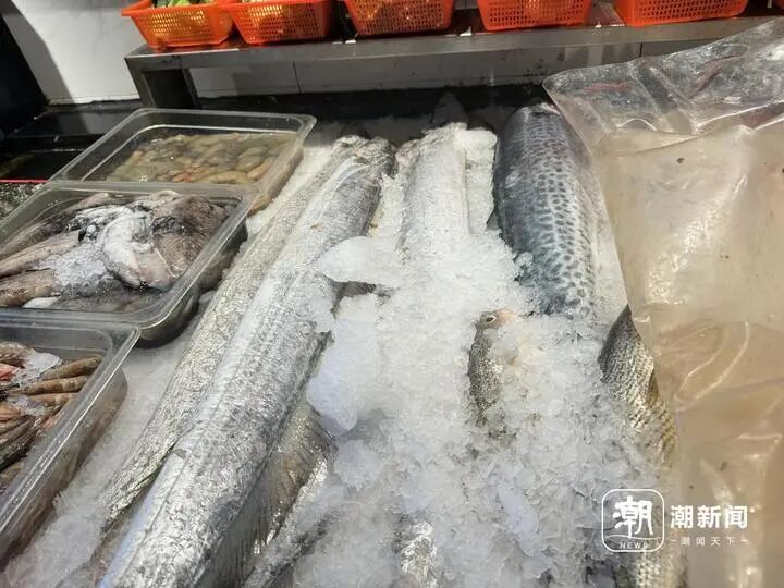 一斤168元，我被带鱼背刺了？这鱼究竟什么来头