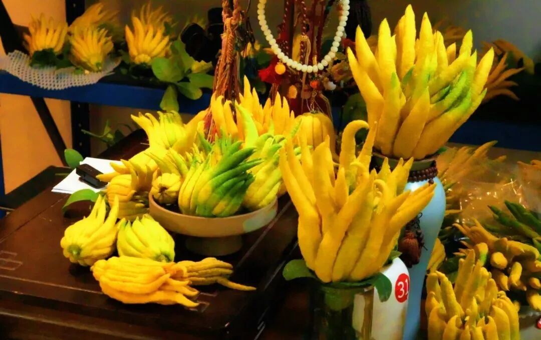 滕绪 金佳衡 (1).jpeg