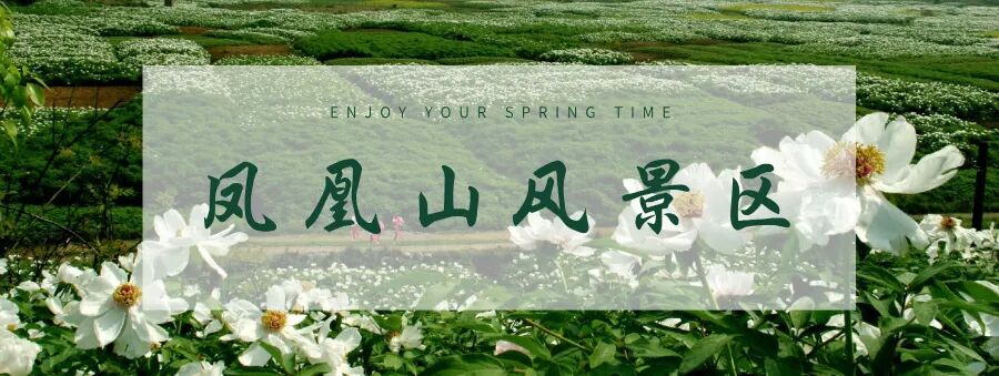 春季出游扁平风公众号封面首图__2026-03-17 17_23_19.jpg