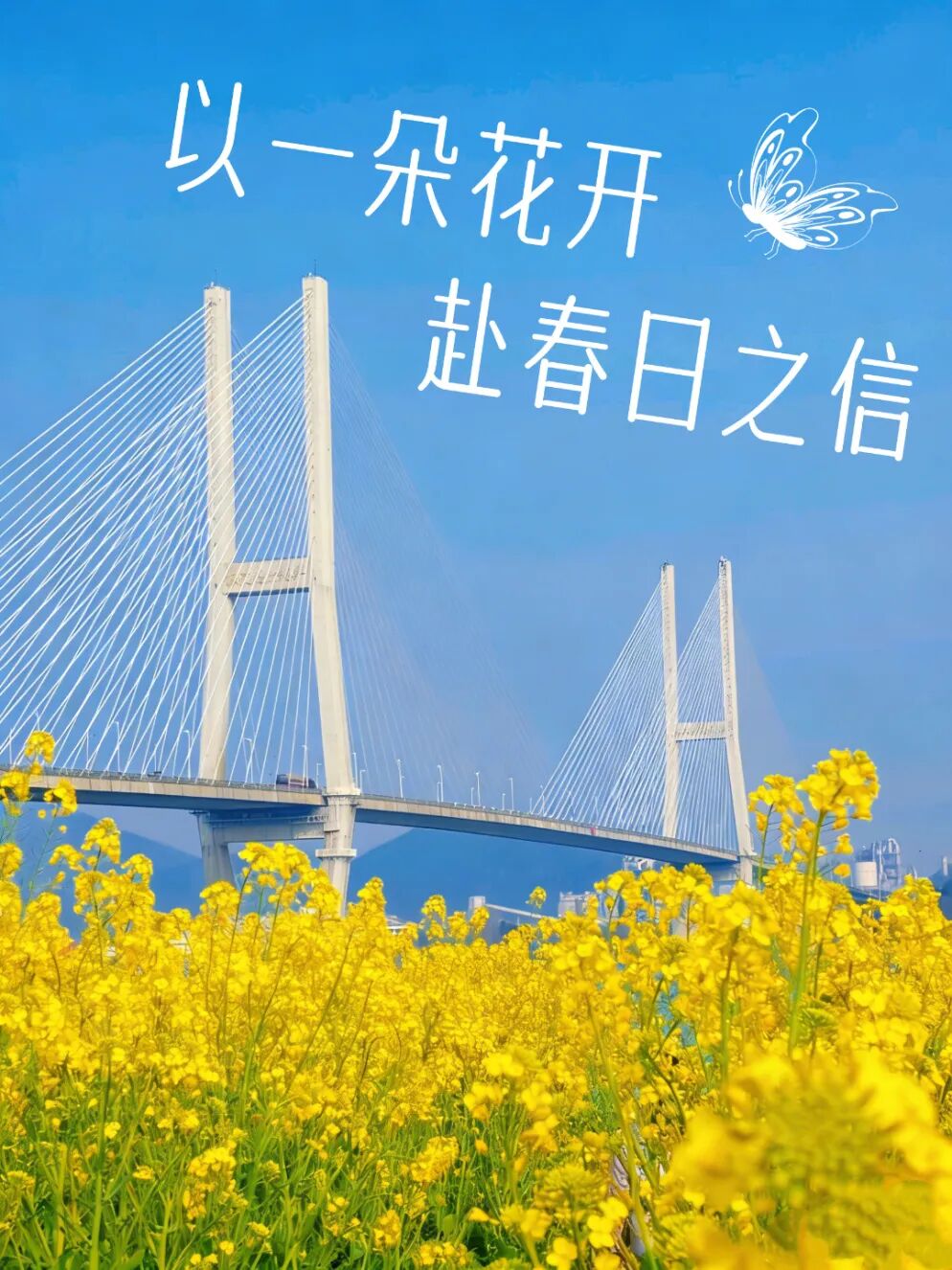 85d8d6cc920a6eb41e2b2723b44d3f6e.jpg