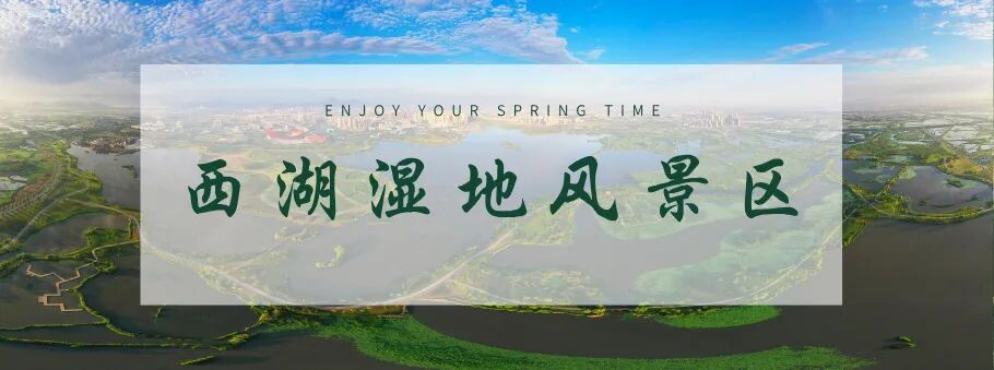 春季出游扁平风公众号封面首图__2026-03-19 16_07_38.jpg