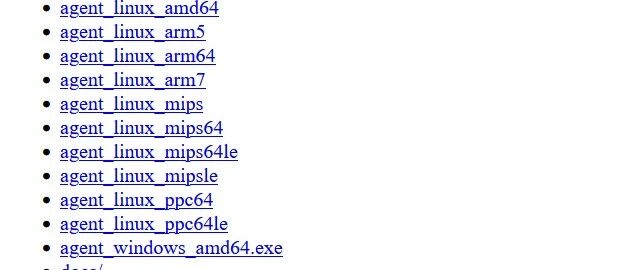 Example Image