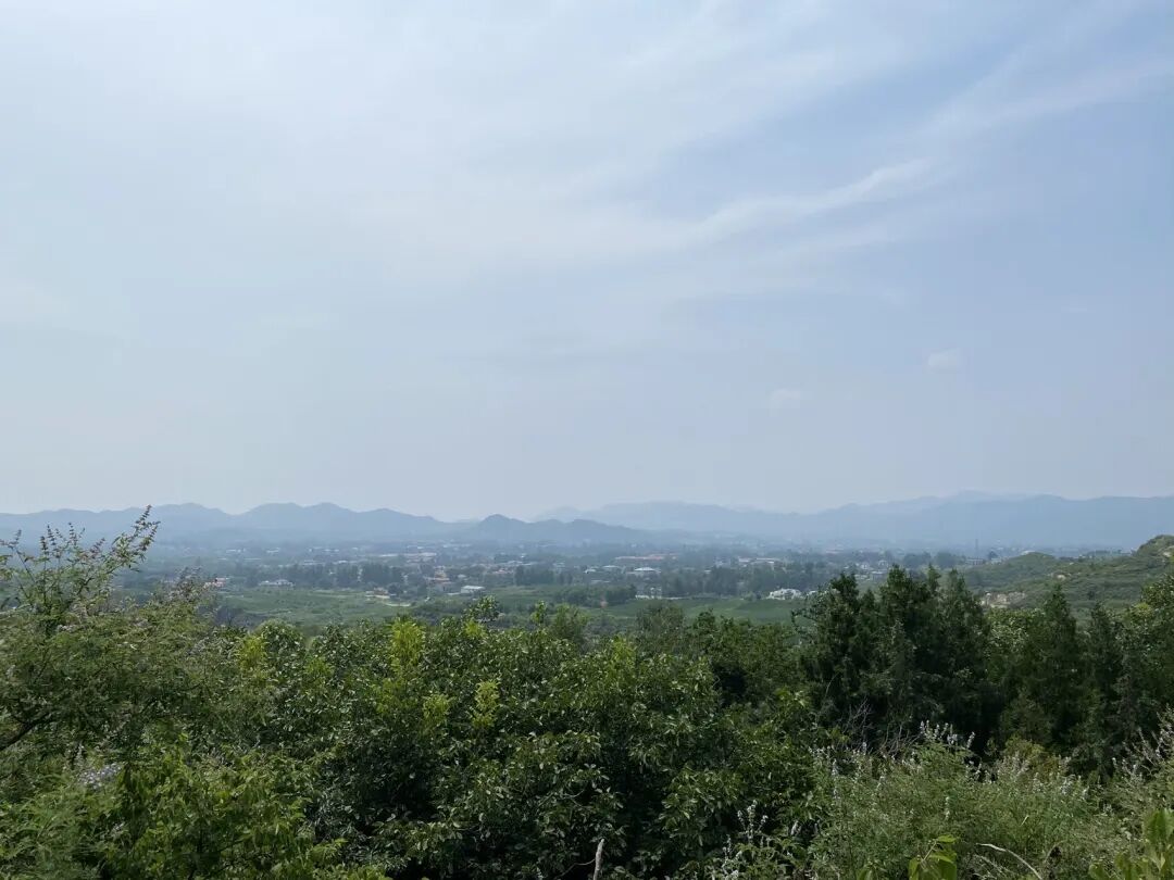 北京卡梅拉爱格加入协会，打造民众放心的好鸡好蛋