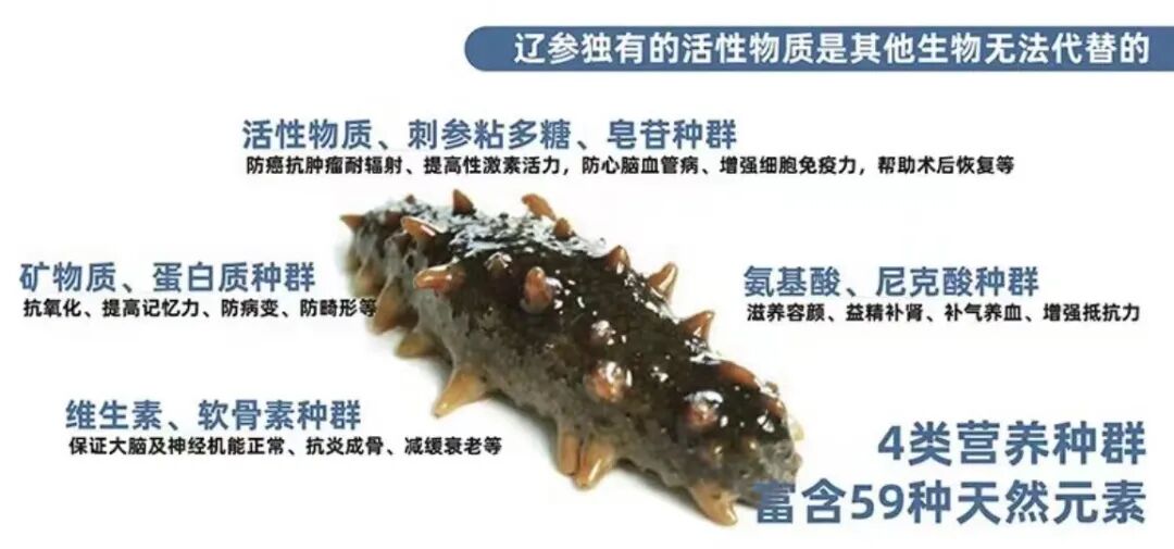 大连蓝岛原加入协会，坚持做中华辽参守护者