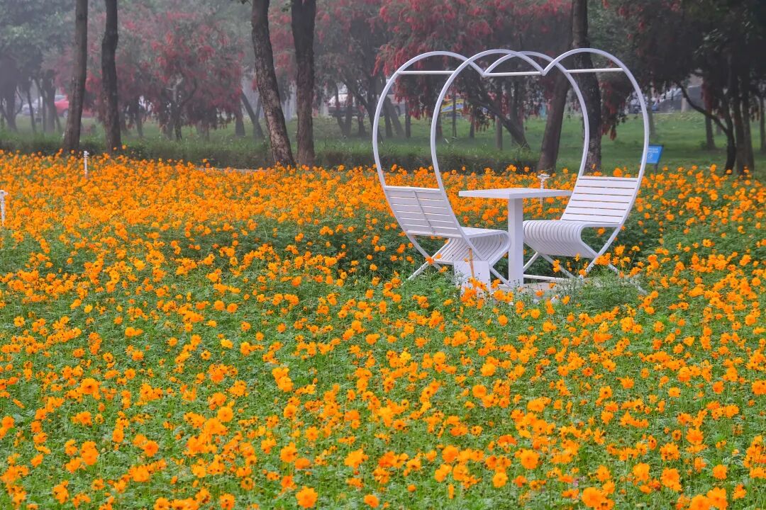 花海骑行露营在九江网红打卡点浪起来九江飞鸿