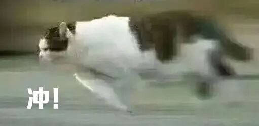 电耳镜检查能看出什么爱耳日｜免费耳镜检查、电测听检查半价，快给耳朵做个保养吧！_https://www.jmylbn.com_新闻资讯_第2张