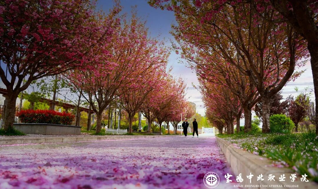 【关注】欢迎报考宝鸡中北职业学院（报考代码6003），明天开始填报！