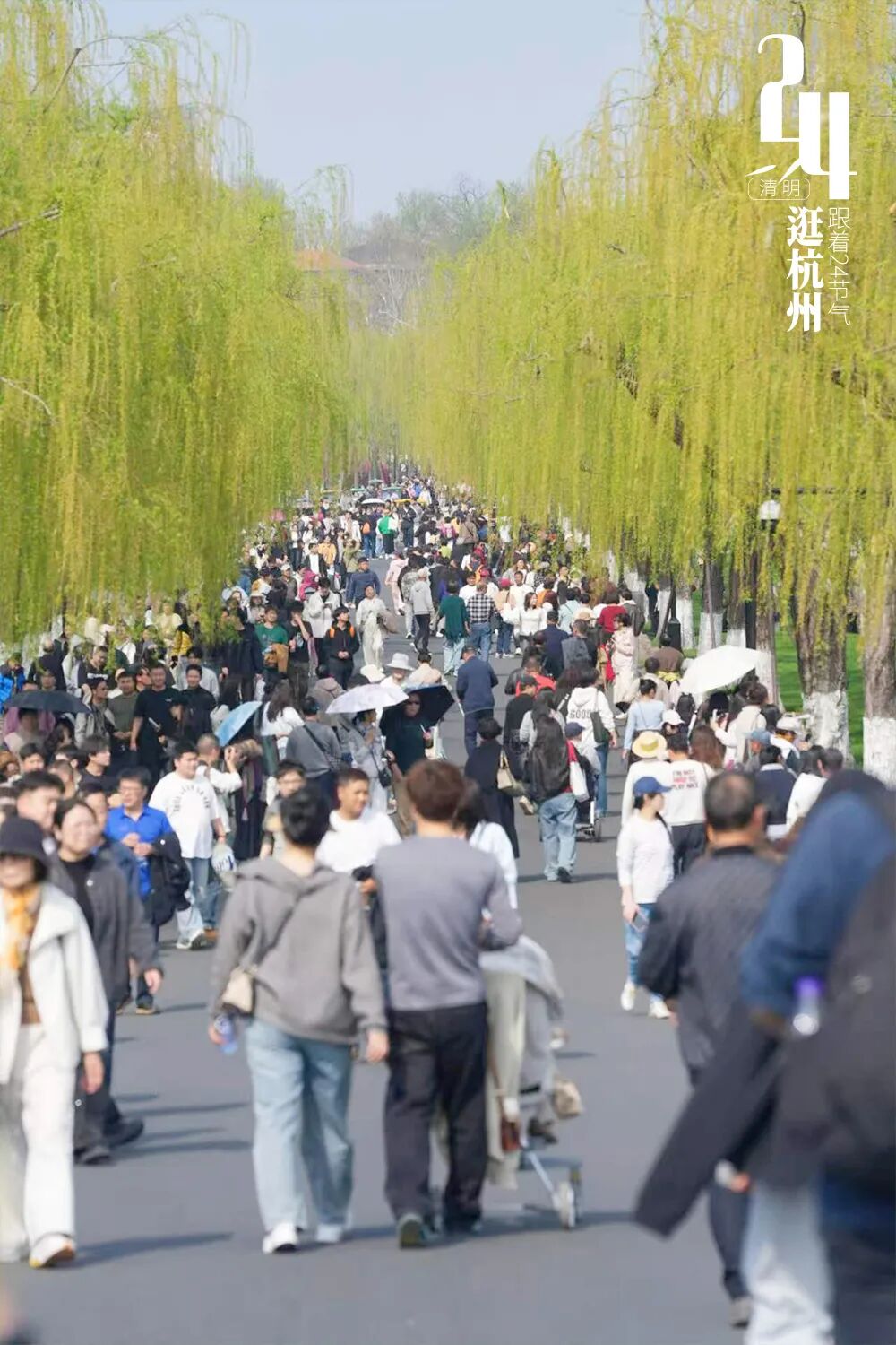 清明打logo-9.jpg