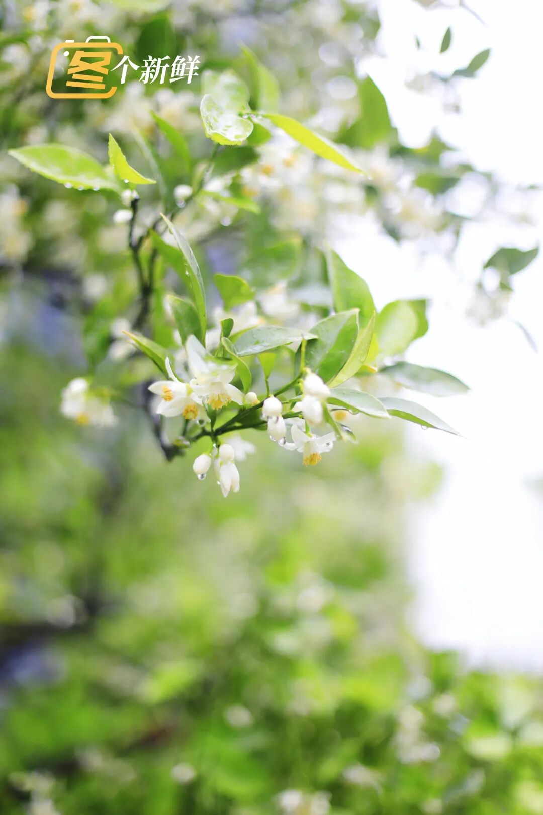 微信图片_20260422120921_2205_153 拷贝.jpg