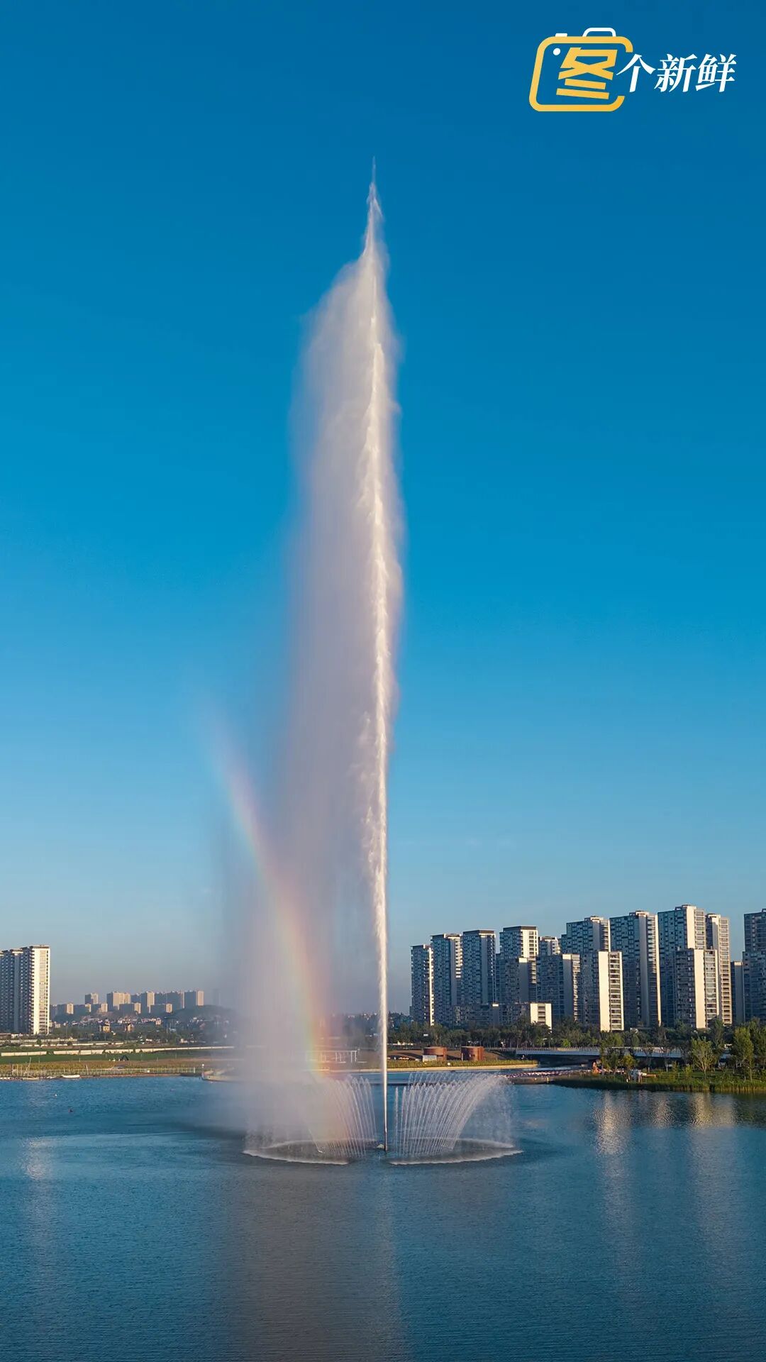 55.jpg