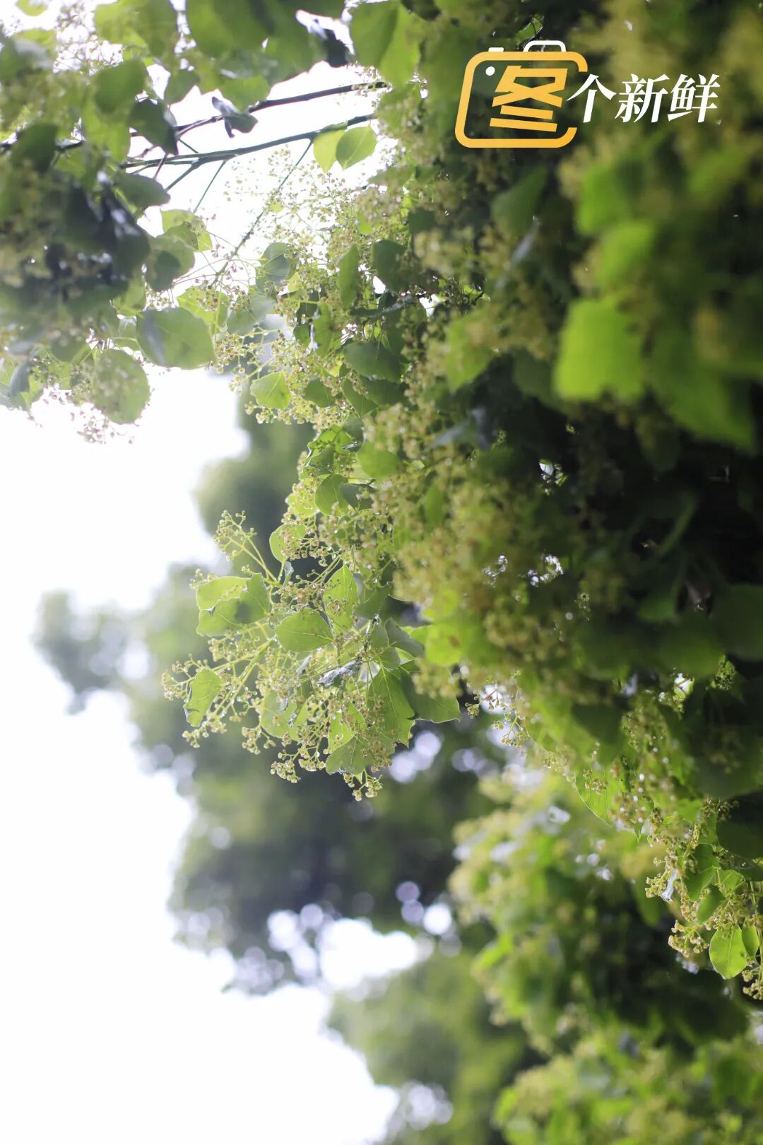 微信图片_20260422120943_2213_153 拷贝.jpg