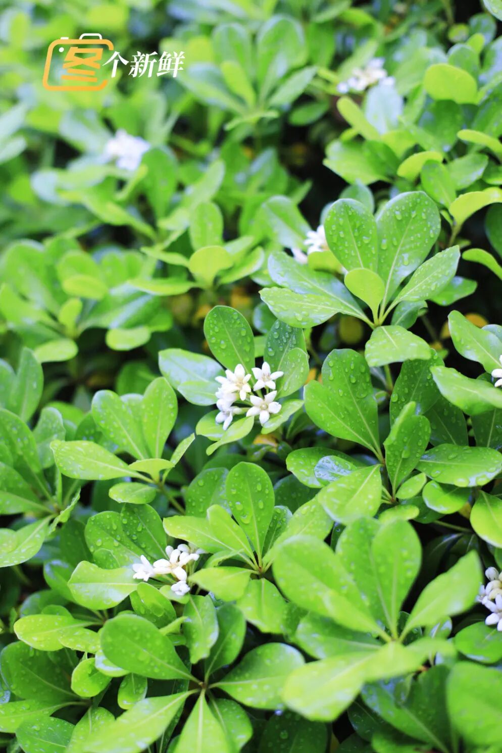 微信图片_20260422120920_2204_153 拷贝.jpg