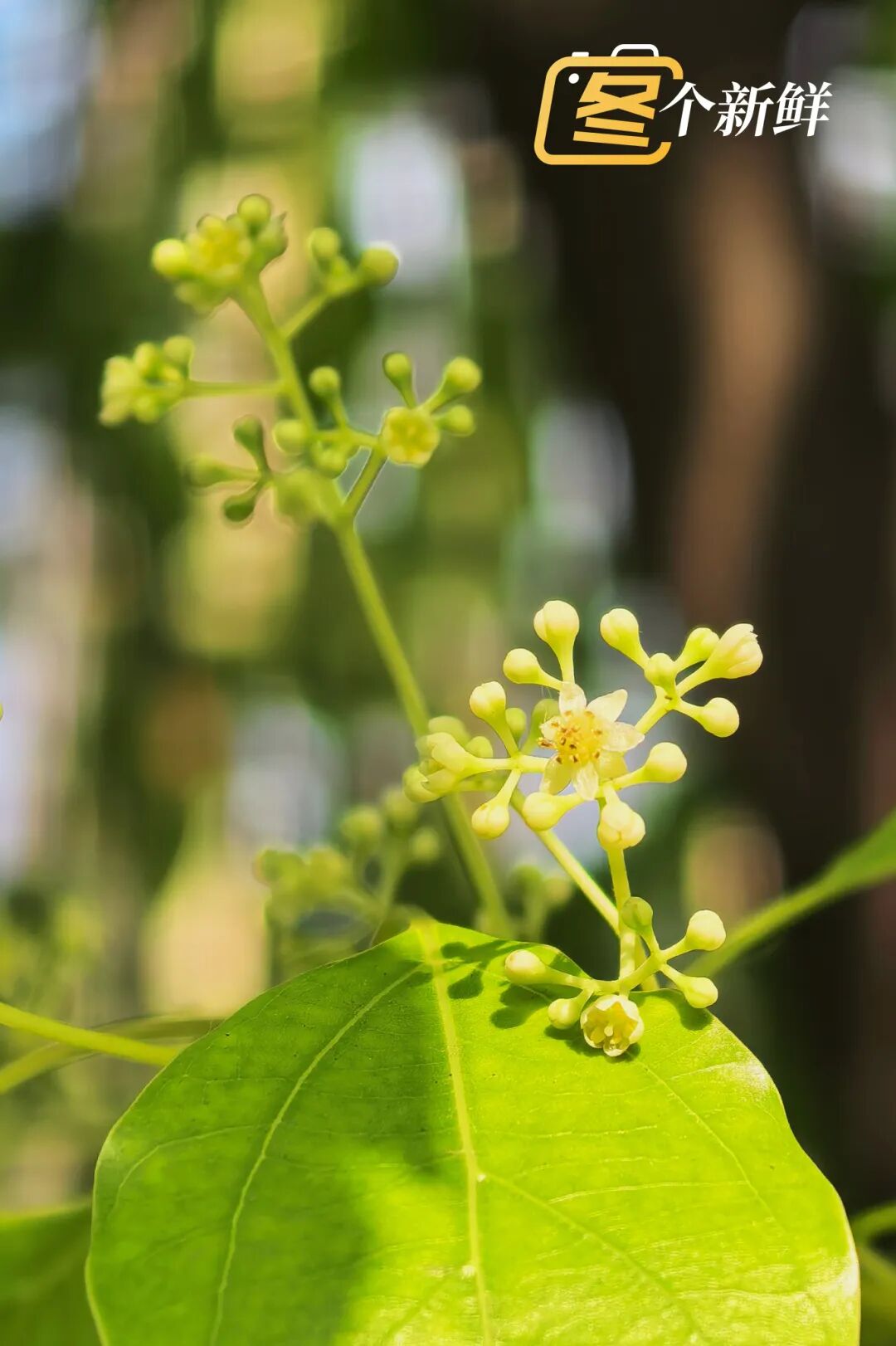 微信图片_20260422121747_2217_153 拷贝.jpg