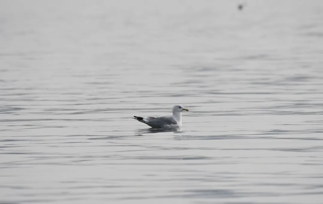 DSC_6290.JPG