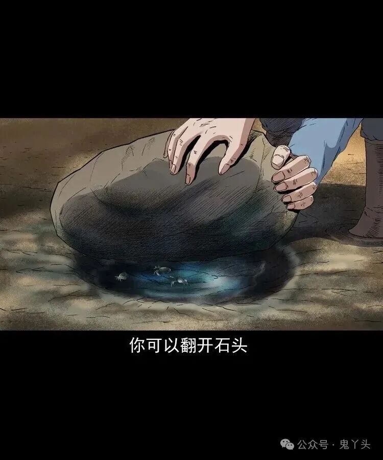 ͼƬ