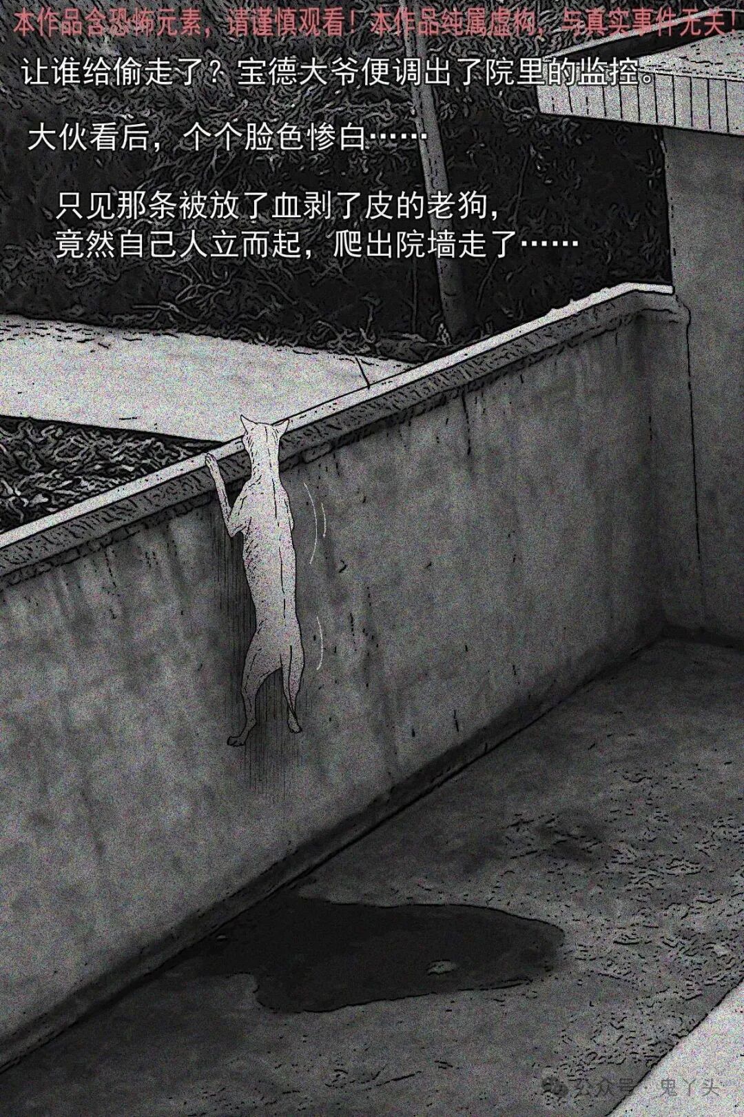 ͼƬ