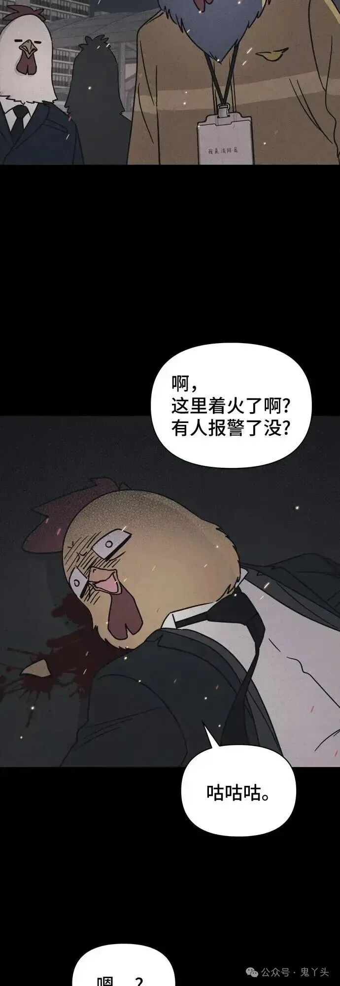 ͼƬ