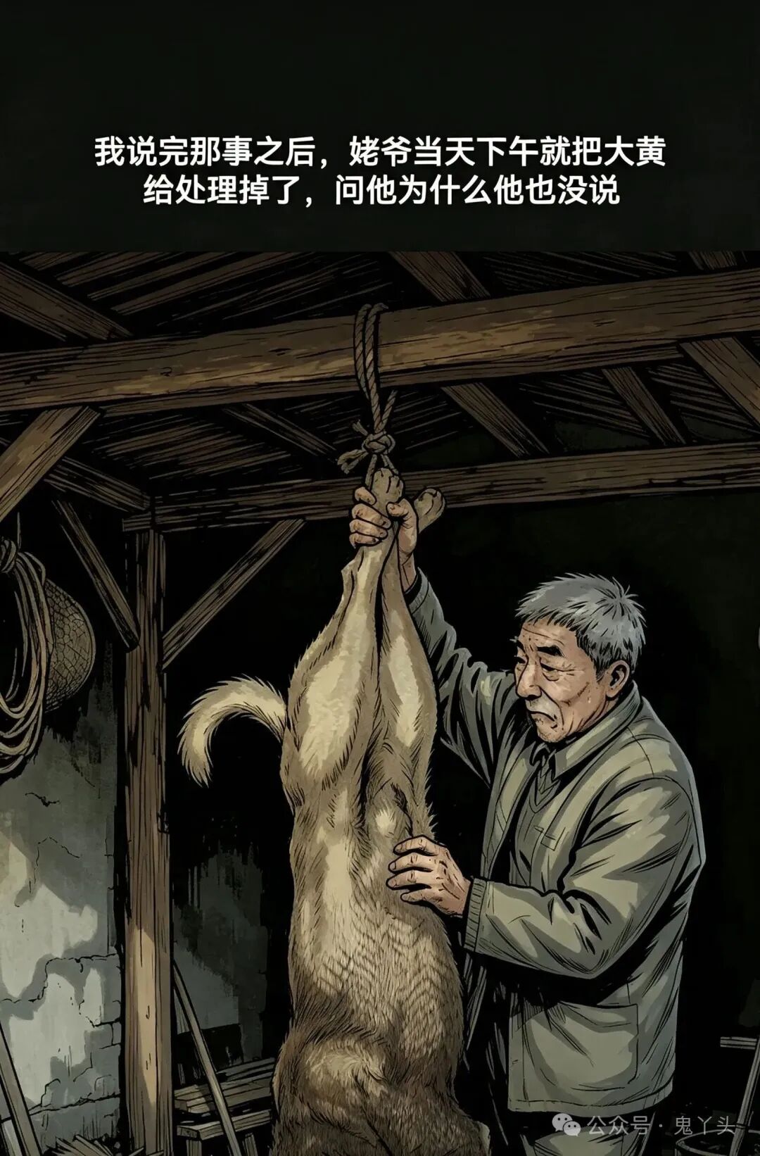 ͼƬ