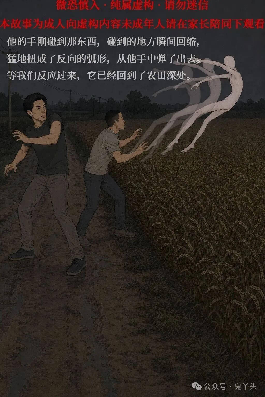 ͼƬ