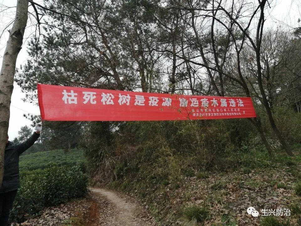 生兴松材线虫病防治