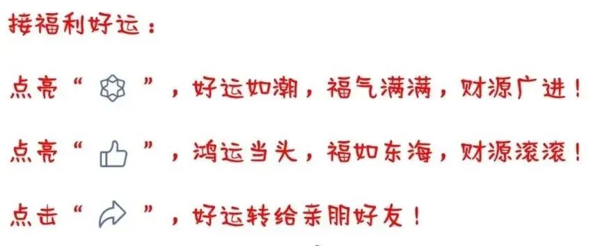 买温柔的生肖_十二生肖什么生肖温柔_买温柔的生肖是什么生肖
