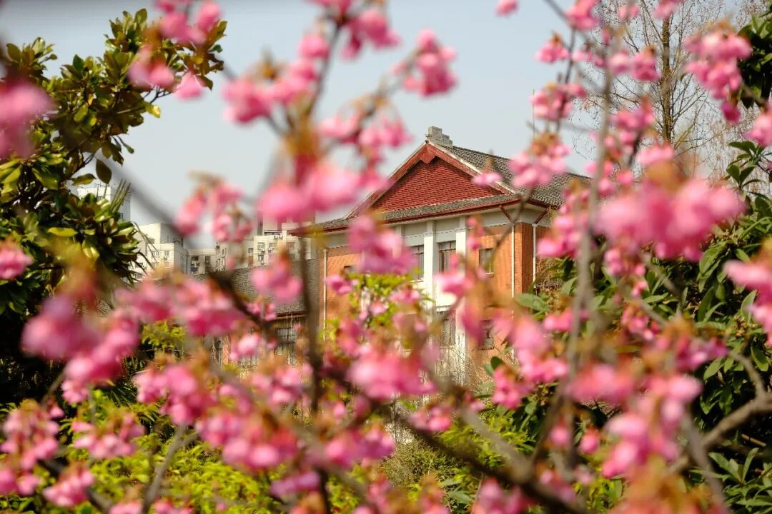 上海師范大學師范生錄取分數(shù)線_2023年上海師范大學研究生院錄取分數(shù)線_上海師范專業(yè)分數(shù)