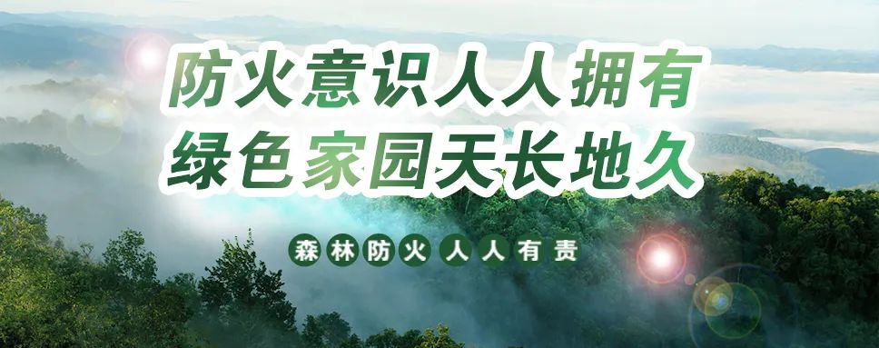 2024年06月05日 普洱周边天气