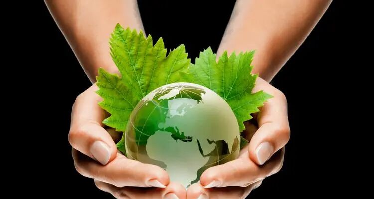 无化肥农药的纯绿色产品代表什么？环保理念的体现？_花植网