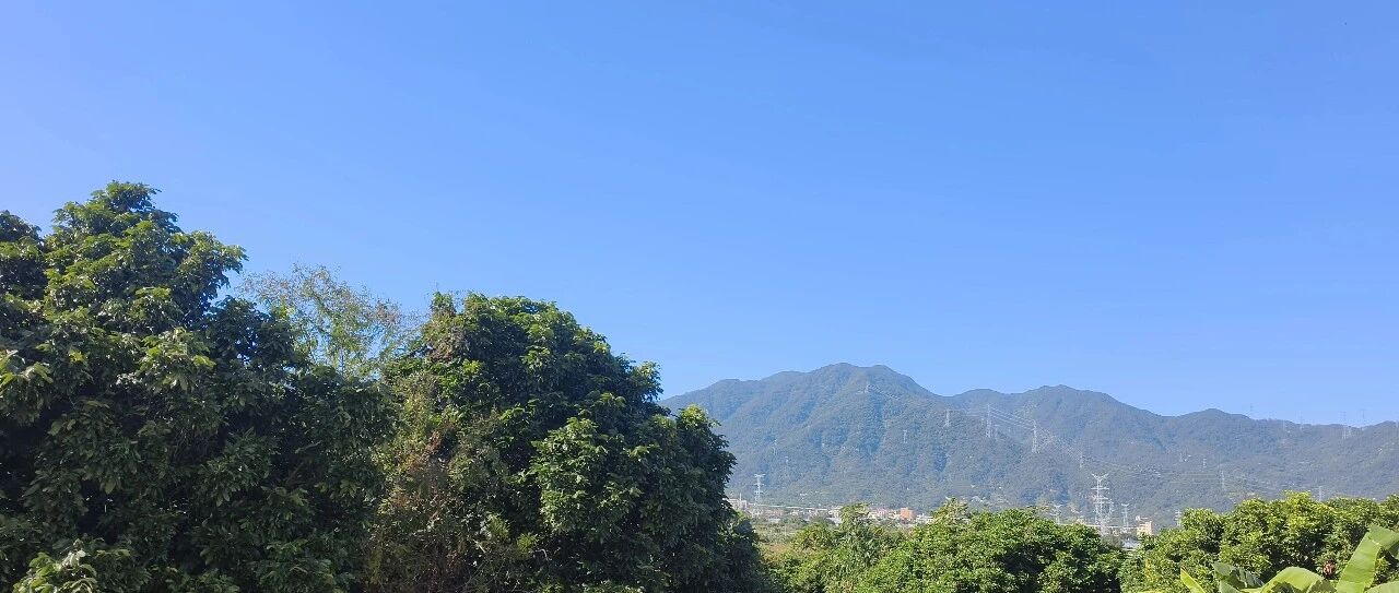 房东张学友糯米饭和米糕