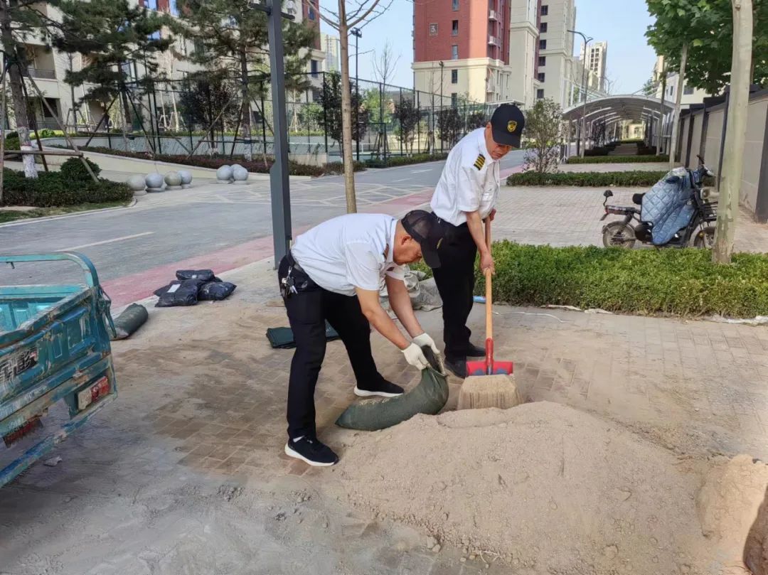 物业秩序协投员怎么样(物业秩序协投员怎么样做)
