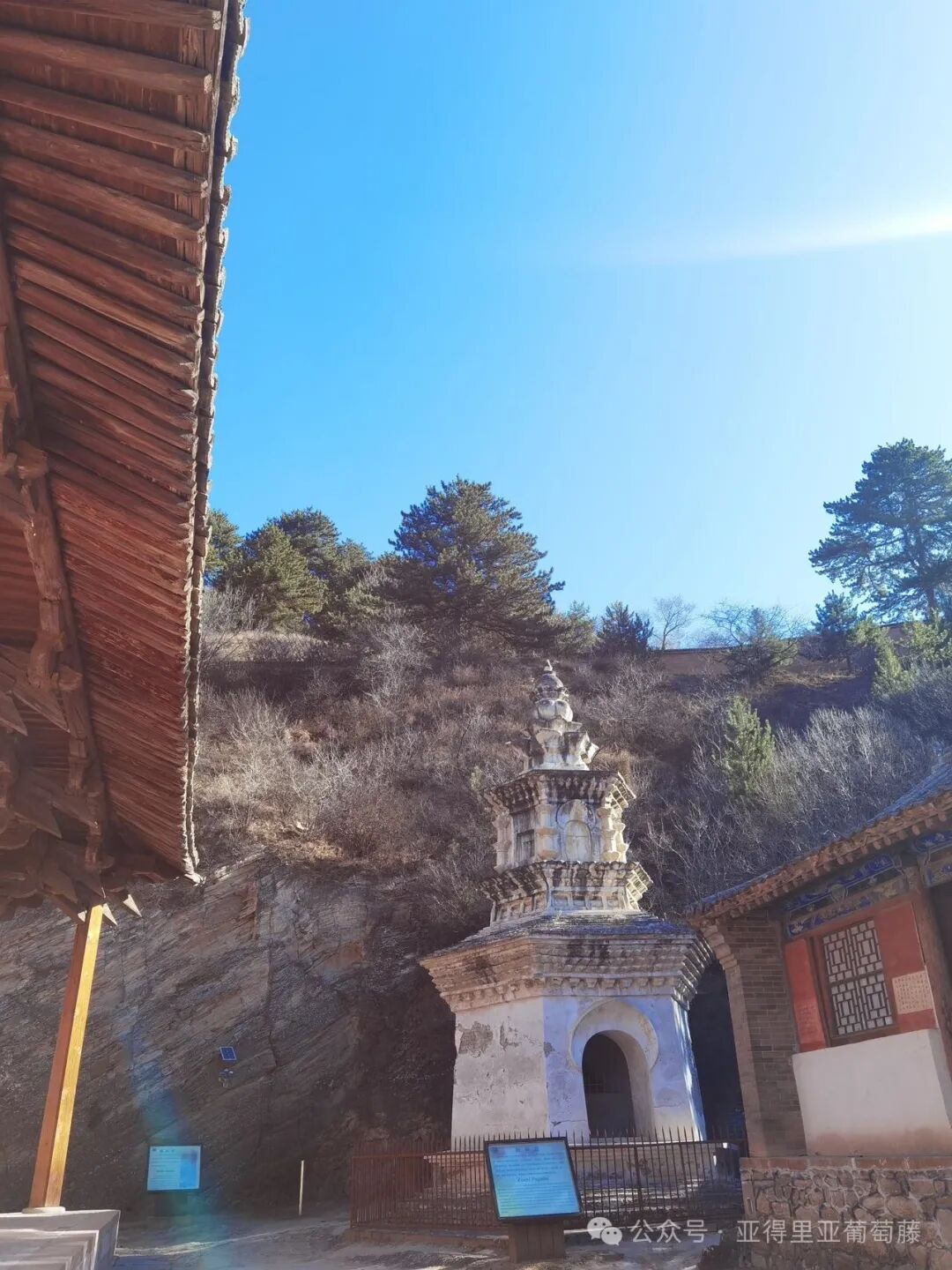 山西不需要黑悟空(十)- 瑰宝忻州:"中国第一国宝"佛光