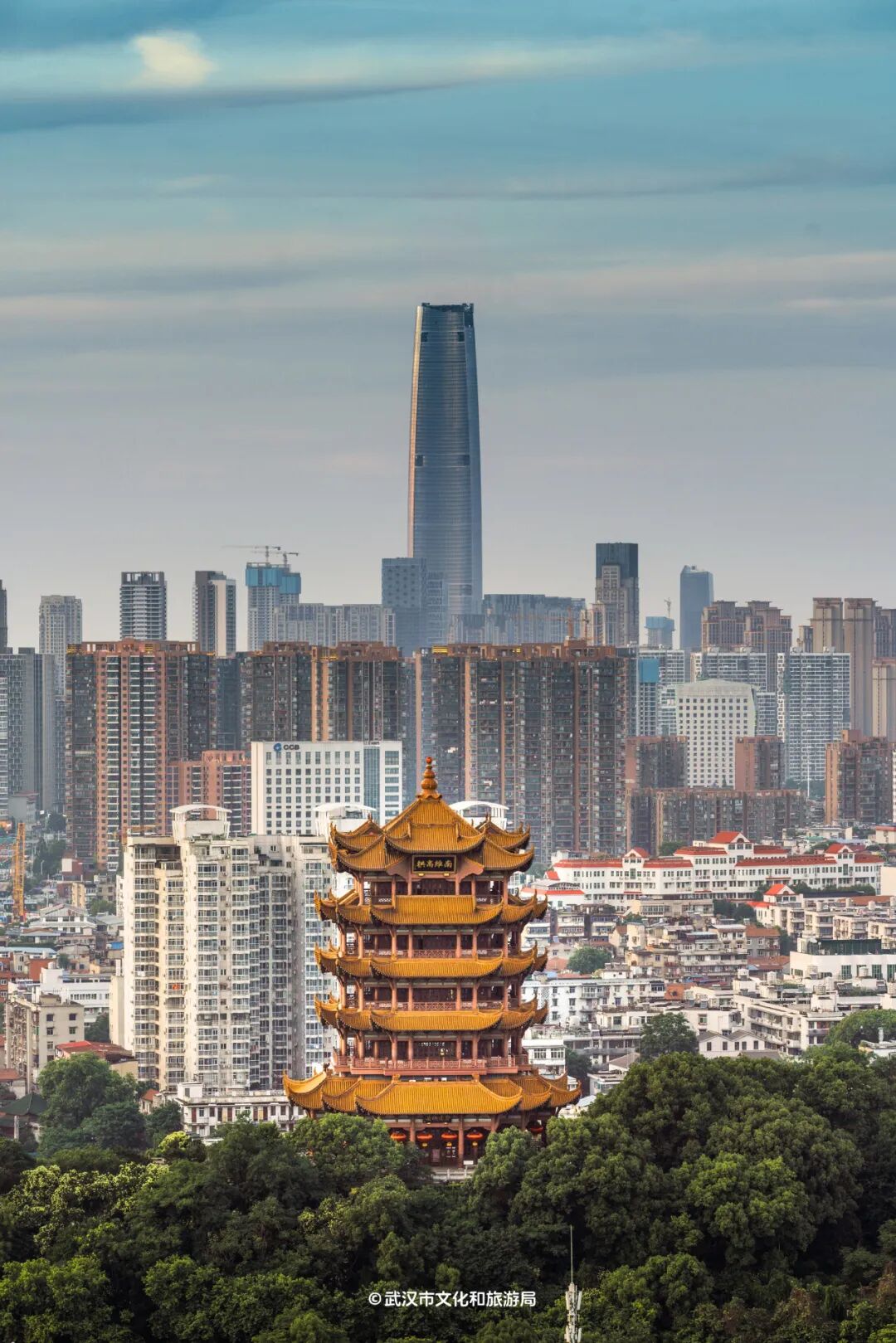 报董宇辉首场户外直播第一站武汉