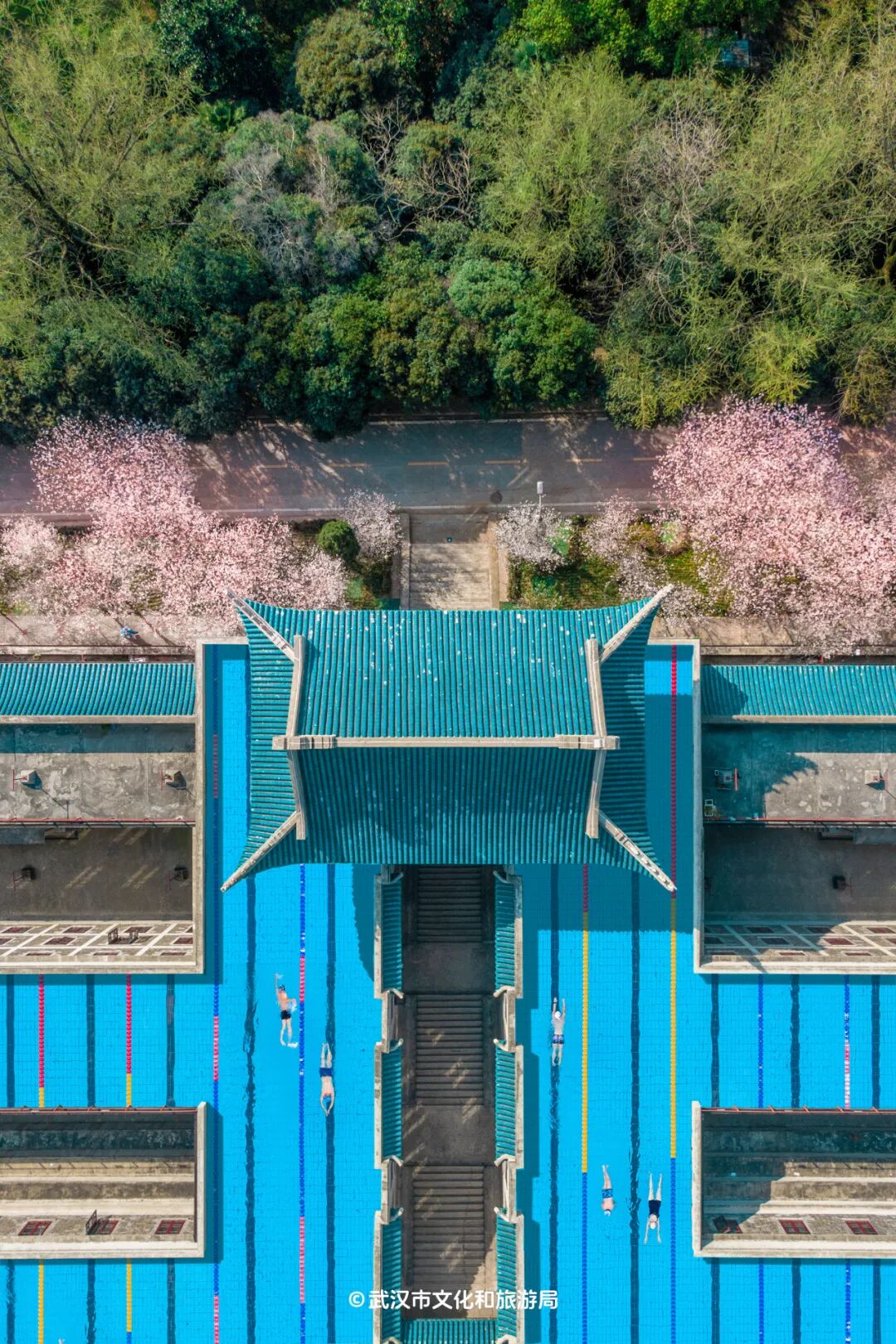 滑道把鹦鹉洲长江大桥,武汉大学樱花城堡我们的摄影师脑洞大开陆续