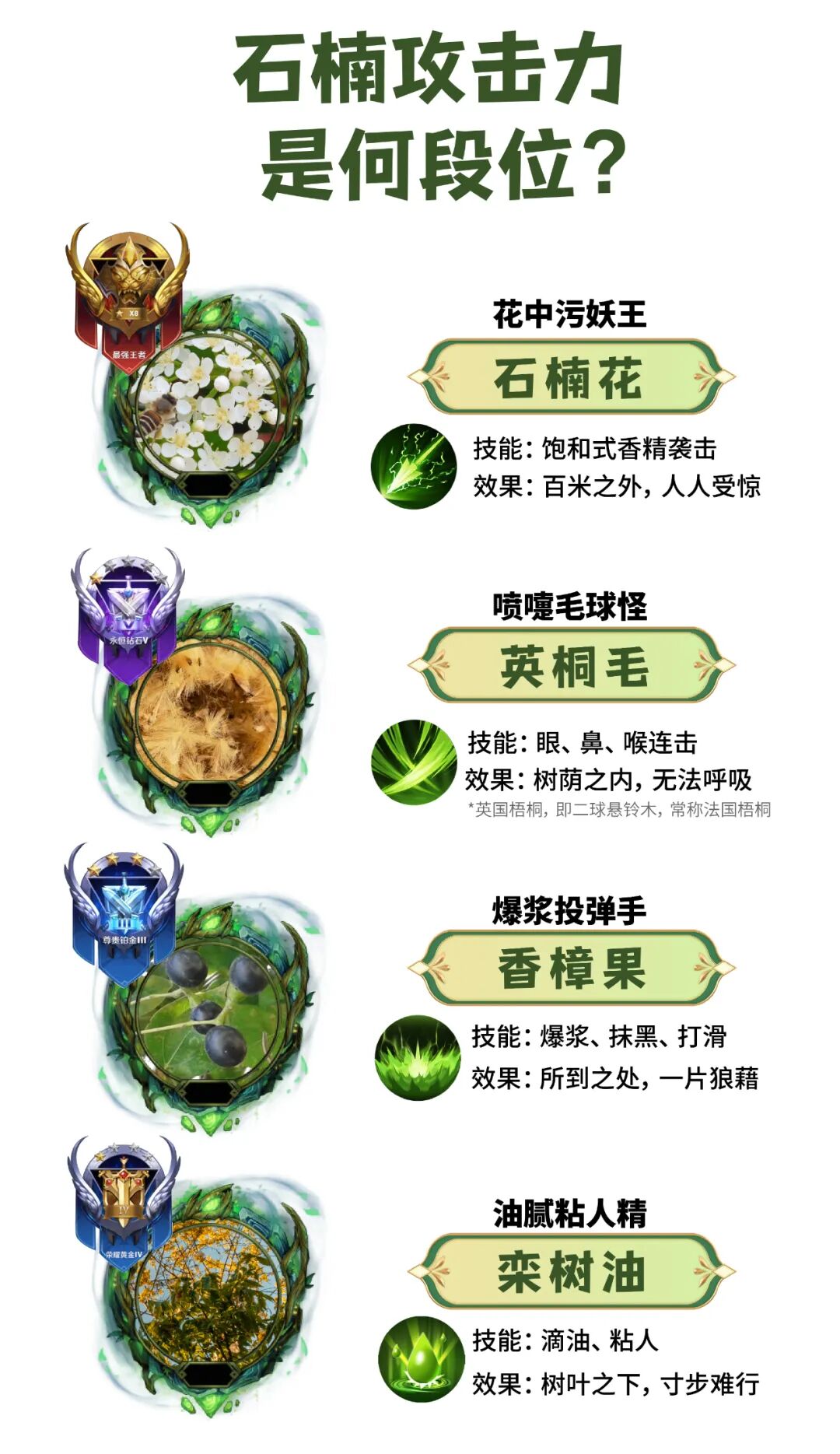 通通闪开你的楠来了