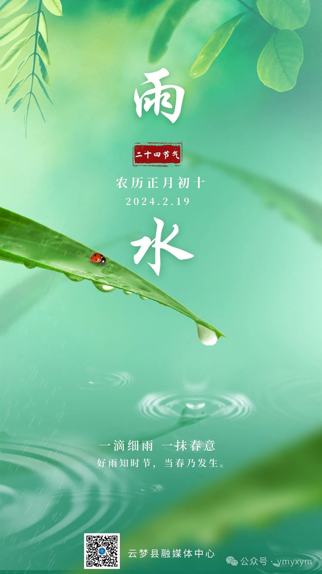 雨水节日美篇图片