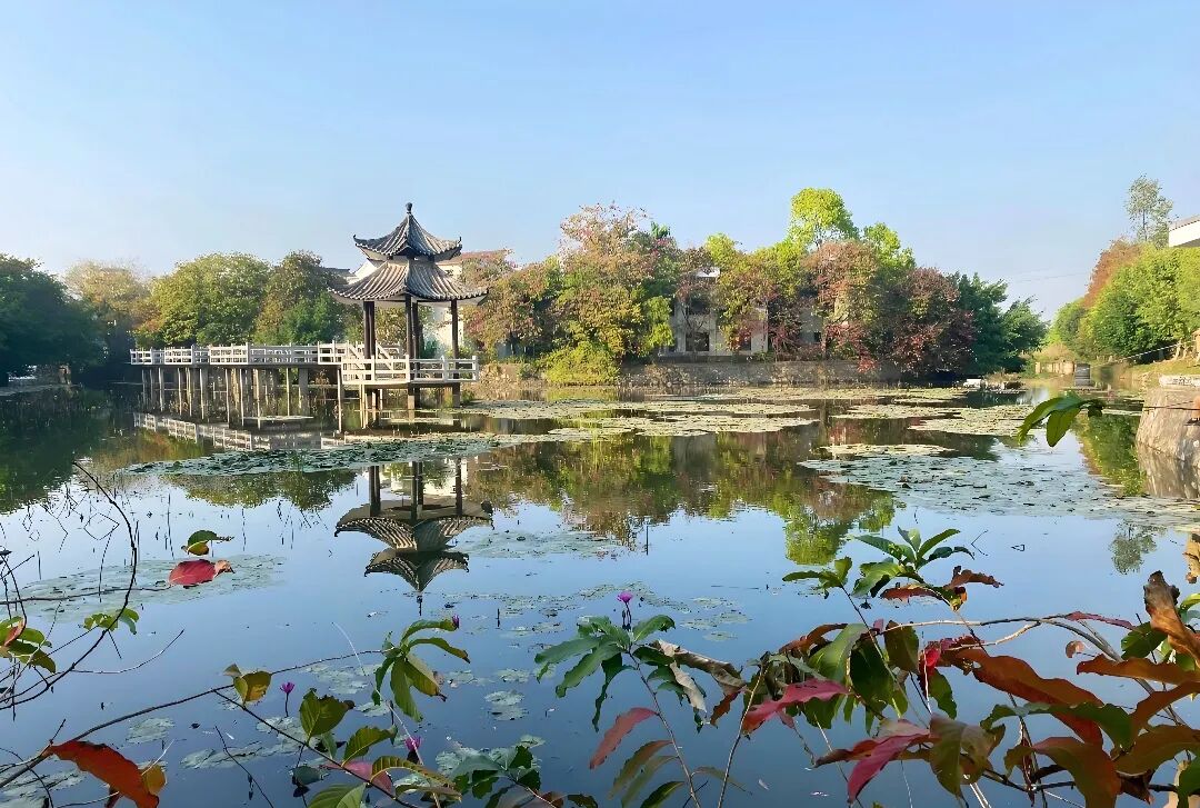 水牛山公园