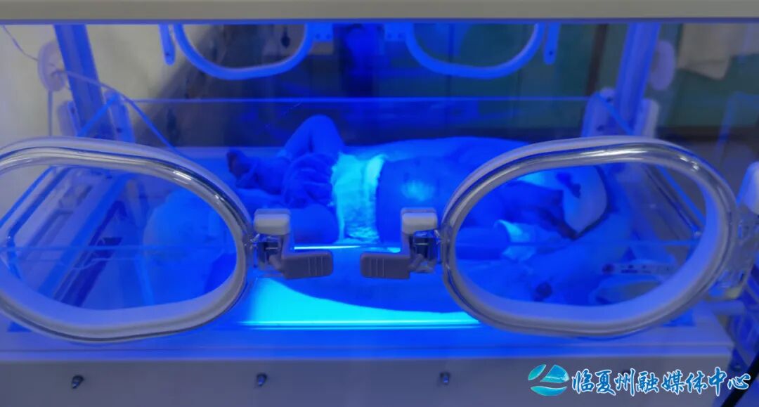 为什么要用光疗纸尿裤【妇幼之窗】告别黄疸，守护新生——新生儿日间光疗服务，当天治疗当天回家！_https://www.jmylbn.com_新闻资讯_第3张