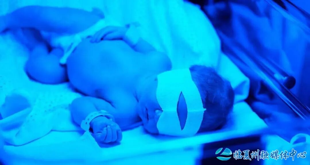 为什么要用光疗纸尿裤【妇幼之窗】告别黄疸，守护新生——新生儿日间光疗服务，当天治疗当天回家！_https://www.jmylbn.com_新闻资讯_第4张