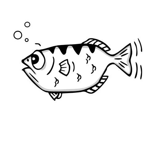 Example Image