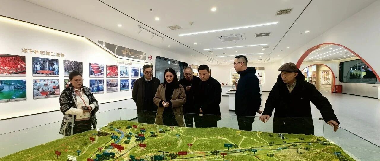 粤宁携手 共促枸杞产业高质量发展——广东省参茸协会在完成吉林考察后赴宁夏开展枸杞产业调研